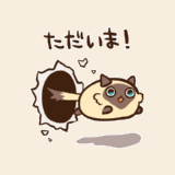 シャム猫ぼん その31