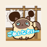 シャム猫ぼん その38